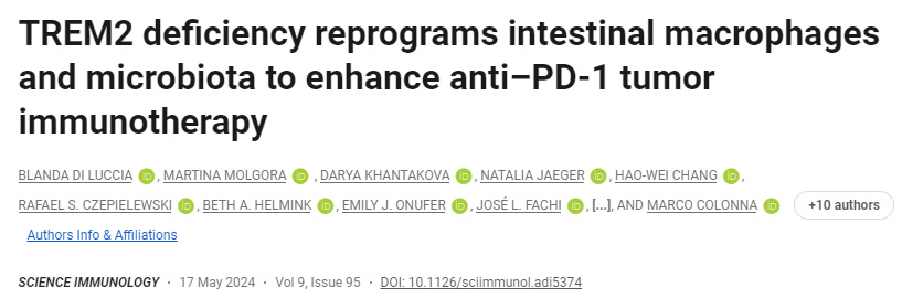 TREM2缺乏重新編程腸道巨噬細(xì)胞和微生物群以增強(qiáng)抗PD-1腫瘤免疫療法