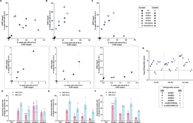 當(dāng)靶向不同染色體上的兩個(gè)原間隔體時(shí)，MOBEs和親本BEs的靶上和串?dāng)_編輯效率