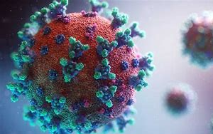 5天治愈90%重癥？減少70%新冠病毒感染？治療新冠特效藥怎么區(qū)分