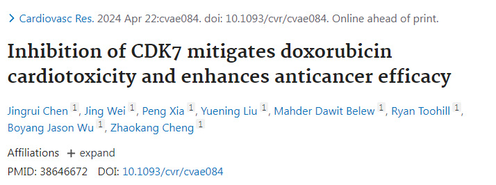 抑制細(xì)胞周期蛋白依賴性激酶7減輕阿霉素的心臟毒性并增強(qiáng)抗癌功效 抑制細(xì)胞周期蛋白依賴性激酶7減輕阿霉素的心臟毒性并增強(qiáng)抗癌功效