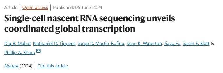 單細胞新生RNA測序揭示協(xié)調的全球轉錄 單細胞新生RNA測序揭示協(xié)調的全球轉錄