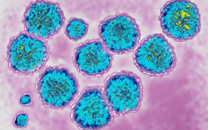 病毒吸收宿主RNA，急性感染可變慢性感染