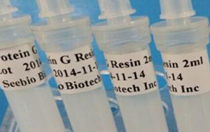 西寶生物 rProtein G SeePUR重組蛋白G親和層析預(yù)裝柱/填料系列產(chǎn)品-用于抗體純化！