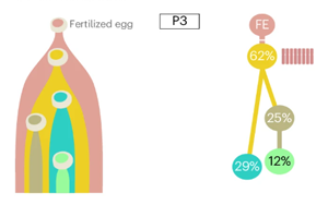 Nature Biotechnology：精確測(cè)量癌癥的進(jìn)化，定義分析腫瘤基因組成的最佳算法