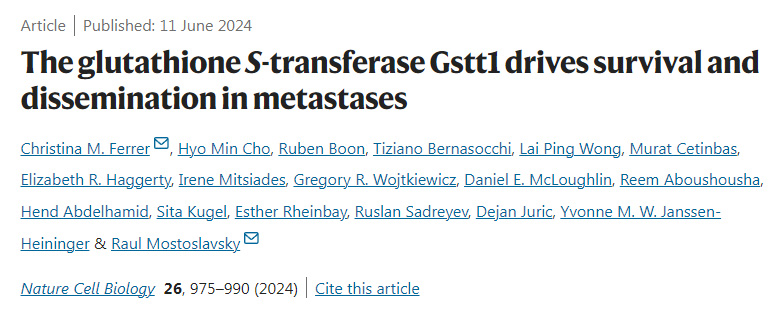 谷胱甘肽S-轉(zhuǎn)移酶Gstt1驅(qū)動轉(zhuǎn)移瘤的存活和擴(kuò)散