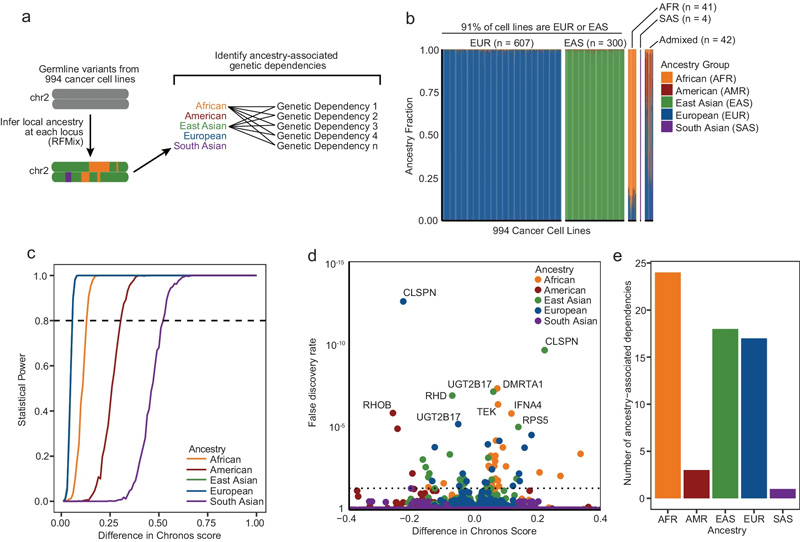 鑒定與祖先相關(guān)的遺傳依賴性 鑒定與祖先相關(guān)的遺傳依賴性