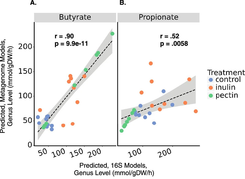 使用16S擴(kuò)增子測序或鳥槍宏基因組測序數(shù)據(jù)對SCFA產(chǎn)生的預(yù)測顯示出一致性 使用16S擴(kuò)增子測序或鳥槍宏基因組測序數(shù)據(jù)對SCFA產(chǎn)生的預(yù)測顯示出一致性