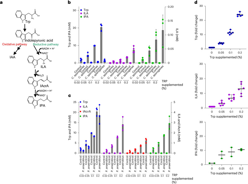 補充色氨酸可增加色氨酸Stickland反應(yīng)衍生的發(fā)酵產(chǎn)物 補充色氨酸可增加色氨酸Stickland反應(yīng)衍生的發(fā)酵產(chǎn)物