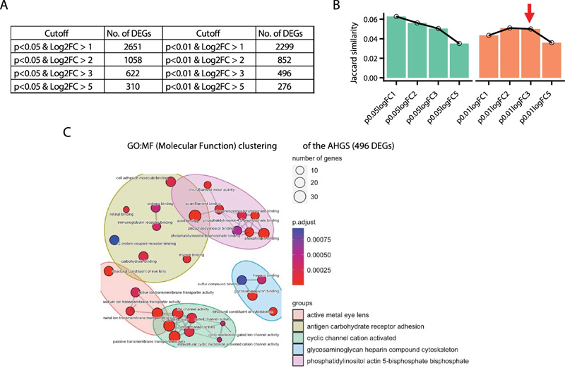 衰老肝細(xì)胞基因標(biāo)記(AHGS)的鑒定和表征 衰老肝細(xì)胞基因標(biāo)記(AHGS)的鑒定和表征