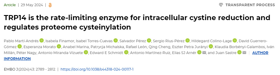TRP14是細(xì)胞內(nèi)胱氨酸減少的限速酶，并調(diào)節(jié)蛋白質(zhì)組半胱氨酸化