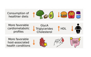 Cell：打破認(rèn)知！這種腸道生物不僅對人體無害，而且有助于健康