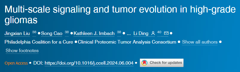 高級別膠質(zhì)瘤的多尺度信號傳導與腫瘤演變
