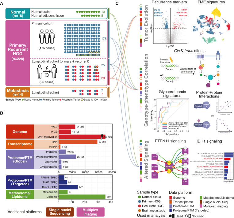 研究對象、技術平臺和檢測概述