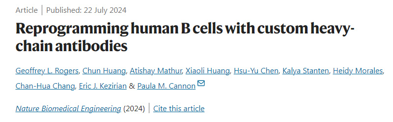 用定制的重鏈抗體重新編程人類(lèi)B細(xì)胞