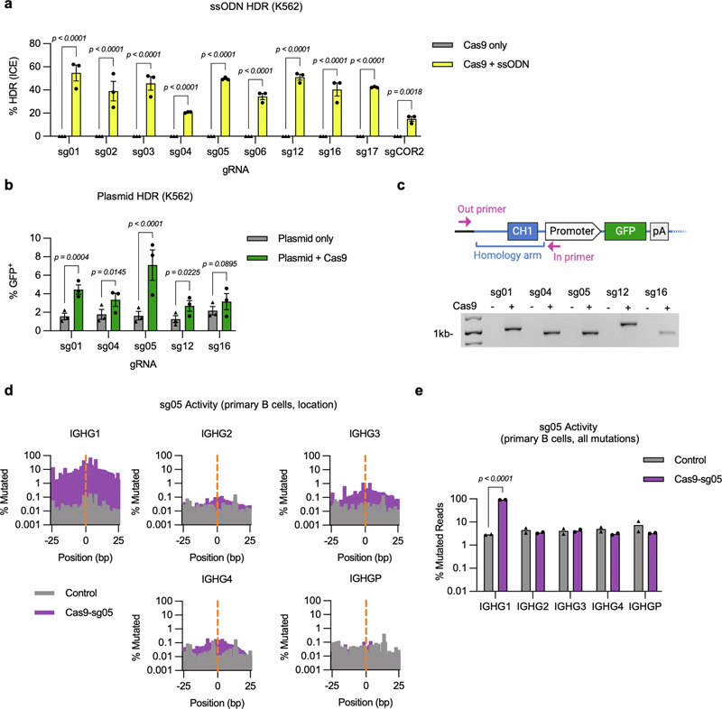 IgH基因座恒定區(qū)基因組編輯的擴(kuò)展分析
