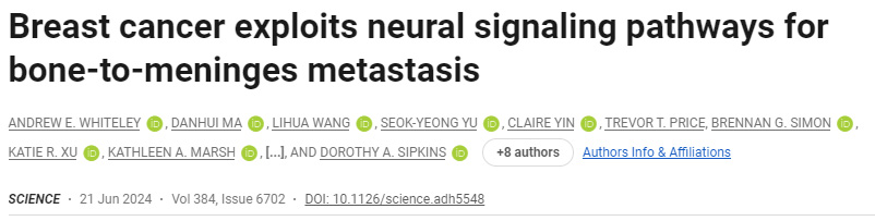 乳腺癌利用神經(jīng)信號(hào)通路進(jìn)行骨轉(zhuǎn)移 乳腺癌利用神經(jīng)信號(hào)通路進(jìn)行骨轉(zhuǎn)移