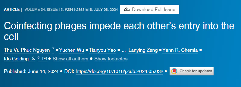 共同感染的噬菌體阻礙彼此進(jìn)入細(xì)胞