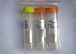 經(jīng)濟型透析袋，RC膜，14 KD，扁平寬度77 mm