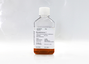 雜交瘤細(xì)胞無血清培養(yǎng)基