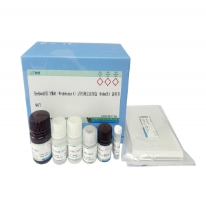 Seebio?蛋白酶K（Proteinase K）活性測定試劑盒（Folin法）