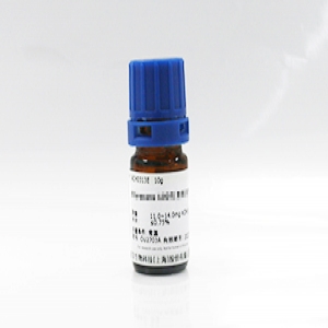 牛痘病毒加帽體系