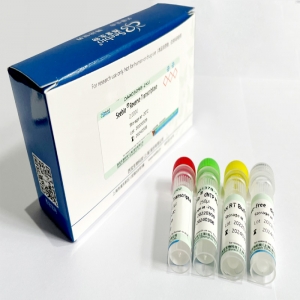 Seebio? Enhan sTaq DNA Polymerase(含dNTP) Seebio? Enhan sTaq DNA Polymerase(含dNTP)