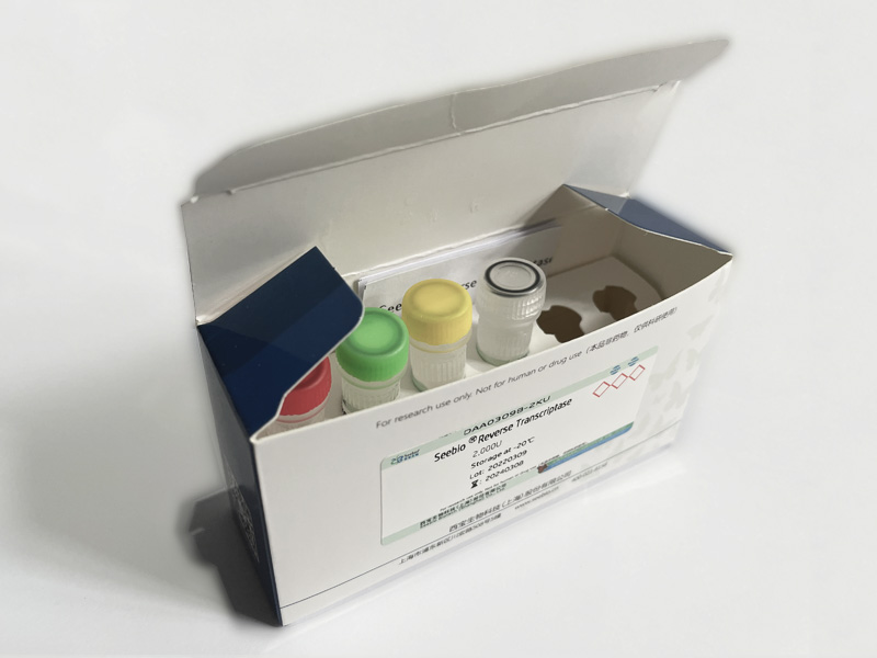 Seebio? Reverse Transcriptase(含 dNTP) Seebio? Reverse Transcriptase(含 dNTP)