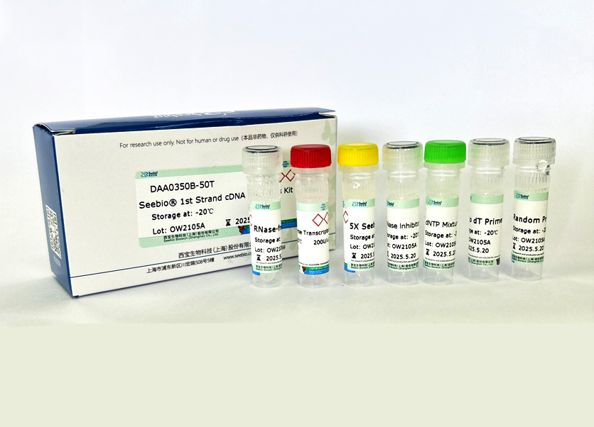 Seebio? 1st Strand cDNA Synthesis Kit