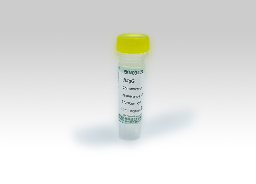 Seebio? 兔IgG Seebio? 兔IgG