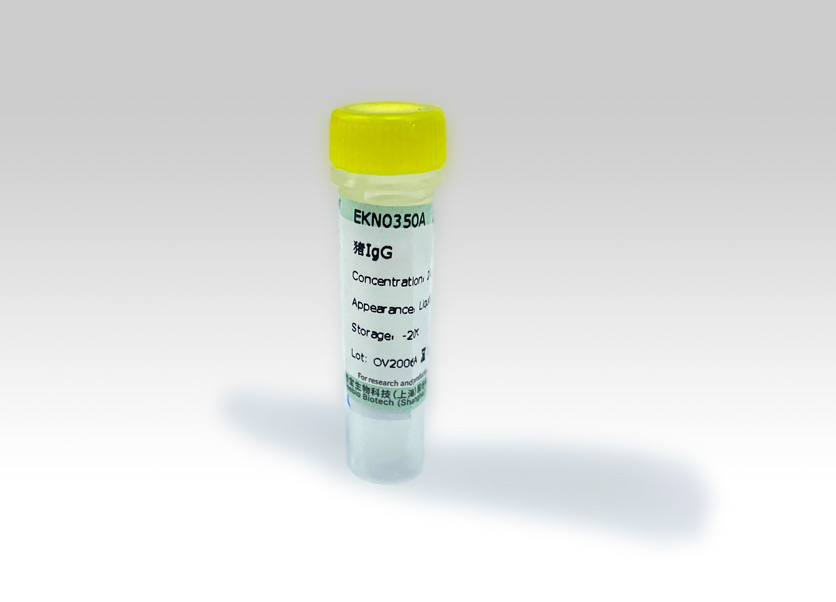 Seebio? 豬IgG Seebio? 豬IgG
