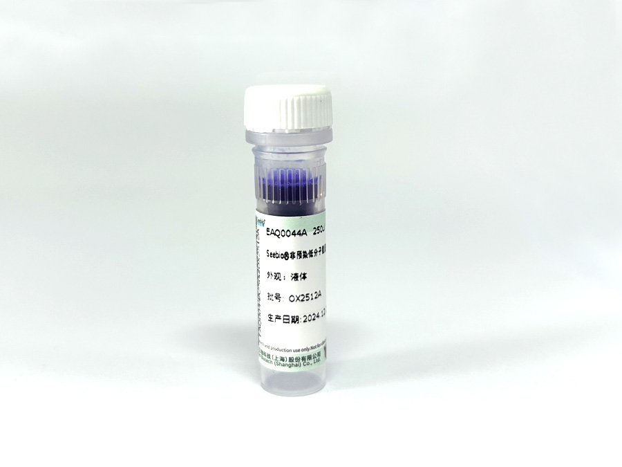 Seebio?非預(yù)染低分子量蛋白質(zhì)分子量標(biāo)準(zhǔn)，3.1~41?kDa