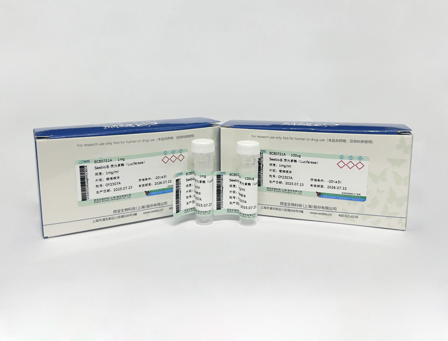 Seebio? 熒光素酶(Luciferase) Seebio? 熒光素酶(Luciferase)