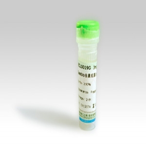 Seebio? 重組蛋白A（rProtein A，ZZZ-HS型）