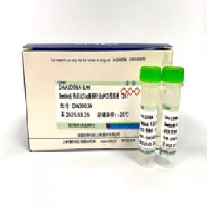 Seebio? 熱啟動Taq酶探針法qPCR預(yù)混液(2X)