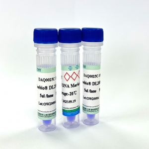 Seebio? DL2000 DNA Marker