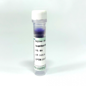 Seebio?非預(yù)染低分子量蛋白質(zhì)分子量標準，3.1~41?kDa